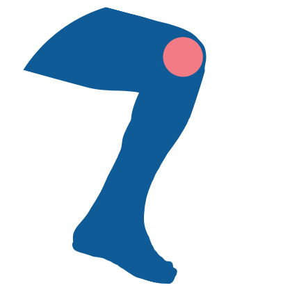 Icon for Knee Pain