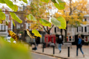 Richmond upon Thames leafy street